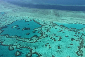 Barrera de coral en Australia. (Sarah LAI / AFP)