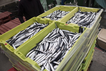 Las capturas de anchoa de los buques vascos han sido de 8.600 toneladas. (Juan Carlos RUIZ / FOKU)