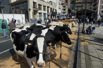 Feria de San Martín de Loinatz en Beasain. (Andoni CANELLADA/FOKU)