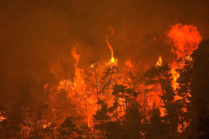 Los incendios siguen arrasando la isla griega de Eubea. (Angelos TZORTZINIS/AFP)