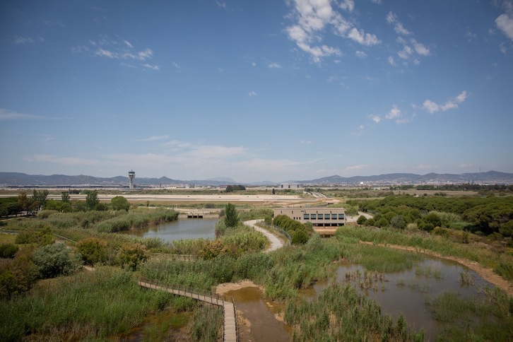 El espacio natural protegido de La Ricarda, junto al aeropuerto del Prat. (David ZORRAKINO/EUROPA PRESS)