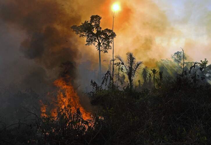 Amazoniako oihaneko erreserban abuztuan piztu zen sutea. Peru eta Brasilgo erasoen ia hiru laurdenak bertan izan ziren. (Carl DE SOUZA/AFP)