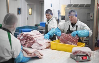 Matadero de cerdos en la localidad de Maldon, en el condado de Essex. (DANIEL LEAL-OLIVAS / AFP) 