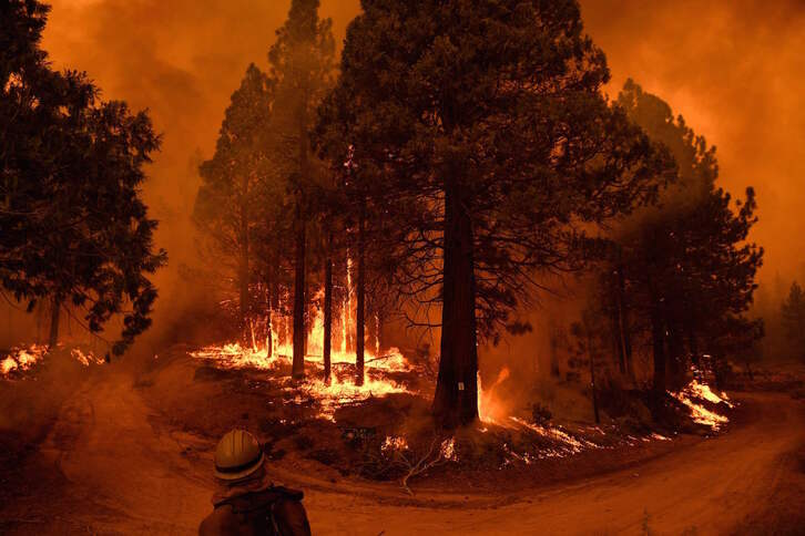 Un bombero trabaja en la extinción de un incendio en el Parque Nacional de las Secuoyas, en California, EEUU. (Patrick T. FALLON/AFP)