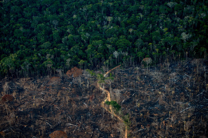 Deforestación de la selva amazónica en Brasil. (Mauro PIMENTEL / AFP)