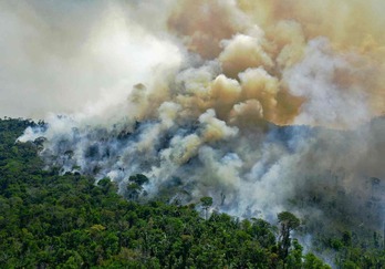 Brasilgo CO2 isuriak %9,5 hazi ziren urte batetik bestera 2020an. (Carl DE SOUZA/AFP)