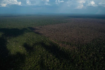Vista aérea de una zona deforestada en la Amazonía brasileña. (Mauro PIMENTEL/AFP)