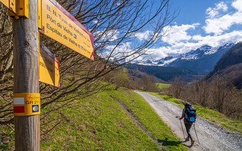 Carteles en aranés en el paso del Camino de Santiago por el Valle de Aran. (DIPUTACIÓ DE LLEIDA)