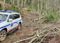 Captura_de_pantalla_2022-01-19_a_las_18.13.38