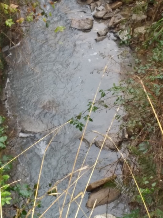 Vertido en el río Zumelegi.