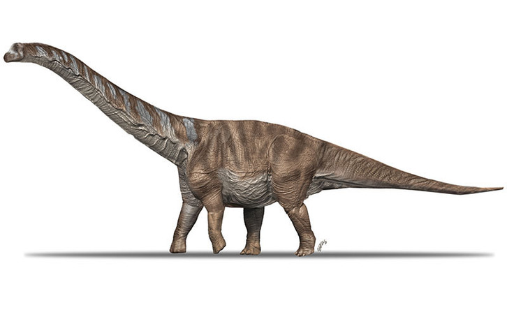 Recreación del aspecto en vida de 'Abditosaurus kuehnei'.