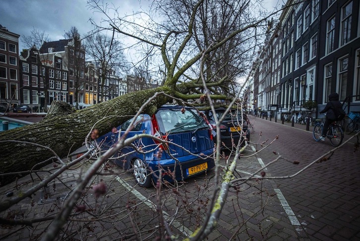 Árboles arrancados de cuajo por el viento en Amsterdam