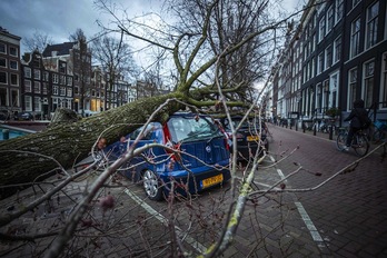 Árboles arrancados de cuajo por el viento en Amsterdam