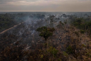 Deforestación e incendios en la Amazonía.