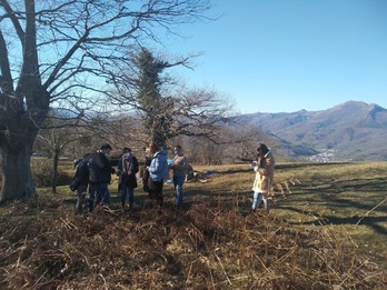 Participantes de la iniciativa visitando un helechal en Malerreka