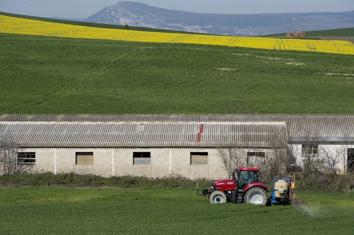 Las explotaciones agrarias se han reducido a la mitad en Nafarroa en los últimos quince años.