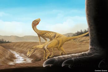 Brasilen aurkitu duten dinosauroen arbasoaren ilustrazioa. 