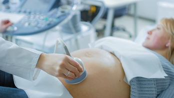 Las nuevas instalaciones de Obstetricia de Txagorritxu comenzarán a funcionar el día 29.