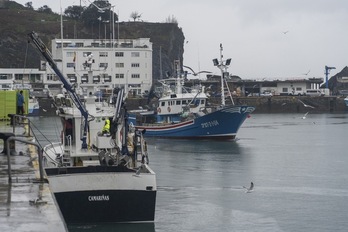 Pesqueros en el puerto de Ondarroa, en febrero de 2021.