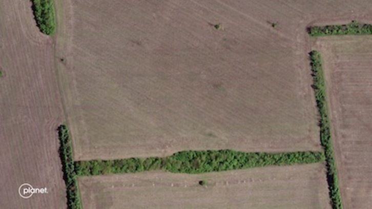 Imagen de satélite de campos de trigo cerca de Sloviansk, Ucrania.