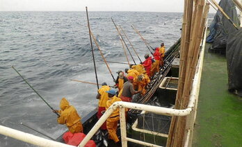 La flota atunera vasca pesca con caña en las costas de Senegal.
