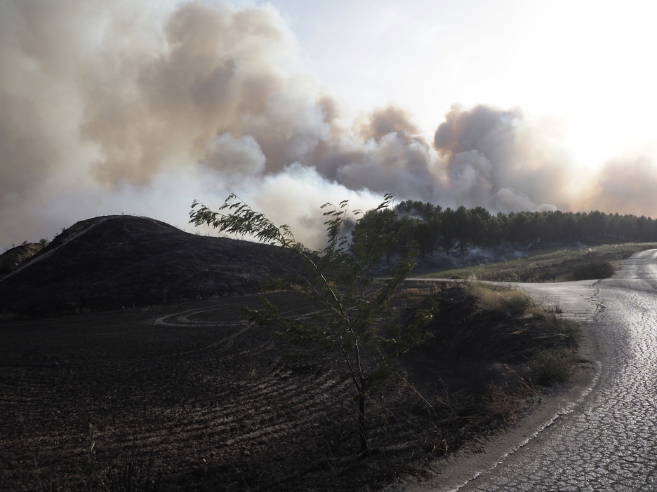 Una zona ya calcinada por el fuego cerca de la ciudad del Zidakos.