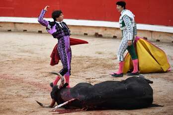 Corrida de toros de sanfermin: un toro agoniza en el suelo mientras que el torero Andrés Roca lo celebra. 