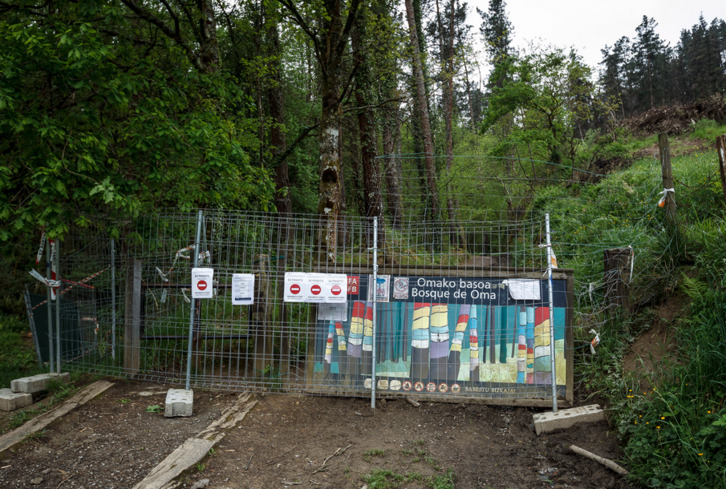 Imagen de 2019, con el Bosque de Oma cerrado.