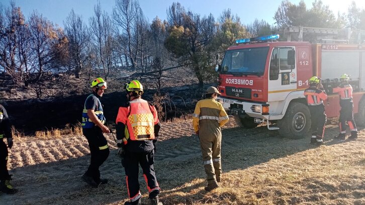 Una dotación de bomberos de La Rioja trabaja en la extinción del fuego de Berantevilla. 