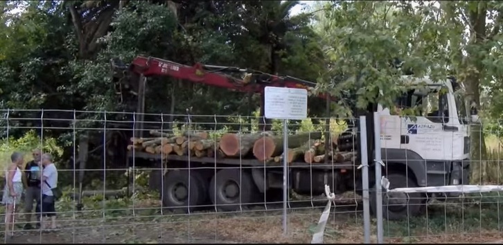 Camión cargado con árboles talados en el parque de Serralta, en Barakaldo.