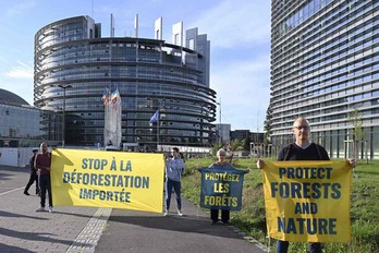 Activistas de WWF y Greenpeace con pancartas contra la desforestación a las afueras del Parlamento Europeoo, en Estrasburgo.