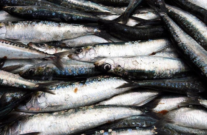 La sardina es uno de los pescados más seguros por sus bajos niveles de mercurio.