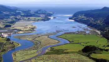 Vista aérea de Urdaibai, donde la Diputación pretende construir otro Guggenheim que      amplíe el de Bilbo.