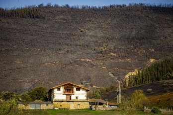 Monte quemado a consecuencia del incendio de Balmaseda.
