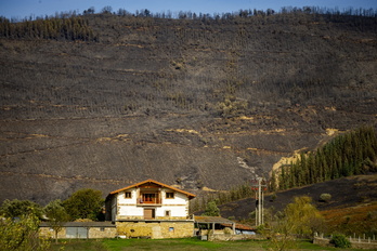 Una ladera totalmente calcinada en el incendio que ha quemado 500 hectáreas en la zona de Balmaseda.