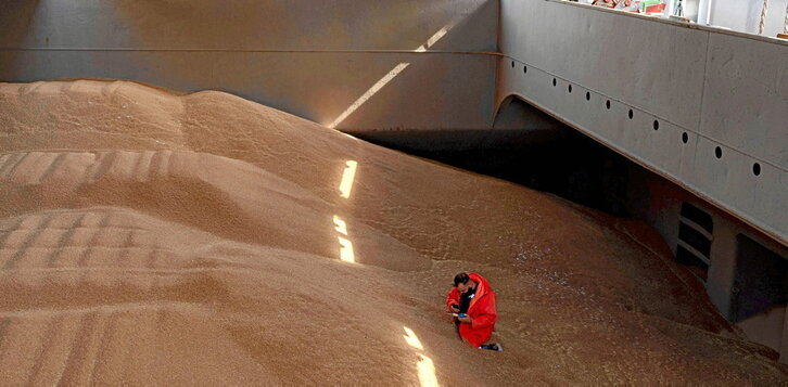 Un trabajador de la ONU inspecciona en Turquía el contenido del carguero «Nord Vind», lleno de grano procedente de Ucrania.