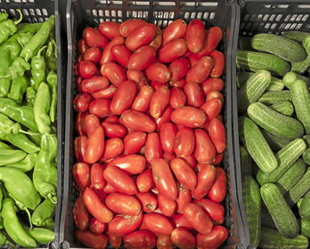 Pimientos, tomates y pepinos ecológicos, que han sido la base de los gazpachos que se han servido en verano en los hospitales navarros.