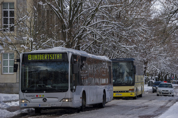 Todos los menores de 12 años podrán viajar gratis en los autobuses de Gasteiz.