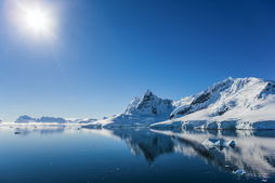 Se han encontrado fibras sintéticas en Antártida