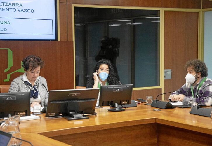 Miembros de Long Covid Euskal Herrian en el Parlamento el febrero pasado..