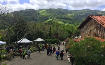 Iturrarango lorategi botanikoa Aia herriko Pagoetako Natura Parkean kokatuta dago.