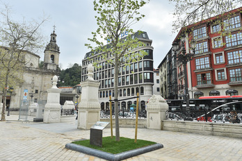 Placa y árbol en conmemoración del Tilo del Arenal.