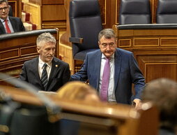 Fernando Grande-Marlaska y Aitor Esteban, en el Congreso de los Diputados.