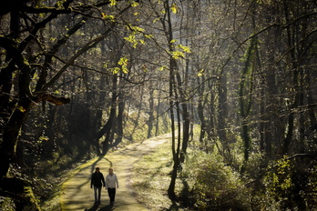 Una pareja pasea por un bosque en Lasarte-Oria.