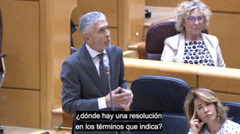 Fernando Grande-Marlaska, defendiendo a Arturo Espejo en el Senado.