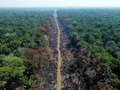 Deforestacion