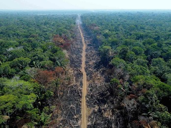 Un bosque de la Amazonia brasileña, deforestado.