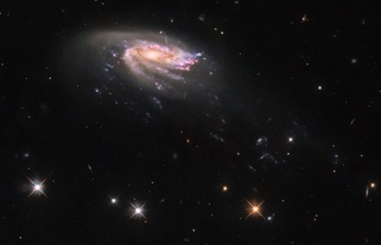Galaxia medusa JO206.