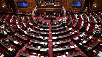 El Senado francés tiene comperencias prioritarias sobre cuestiones territoriales.