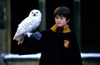 Daniel Radcliffe en la adaptación fílmica de 'Harry Potter y la piedra filosofal'.